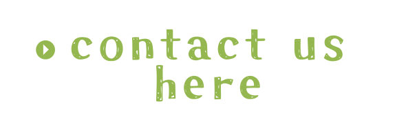 contact us here