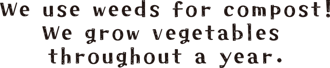 We use weeds for compost!We grow vegetables throughout a year.