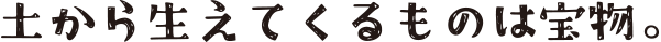 土から生えてくるものは宝物。